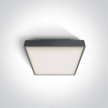 Plafon The LED Plafo Outdoor Square Plastic 67282N/AN/W ONE LIGHT