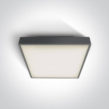 Plafon The LED Plafo Outdoor Square Plastic 67282BN/AN/W ONE LIGHT