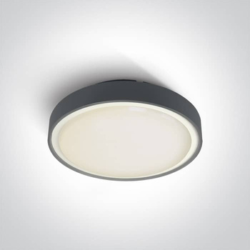Plafon The LED Plafo Outdoor Round 67280BN/AN/W ONE LIGHT 3000K 36cm