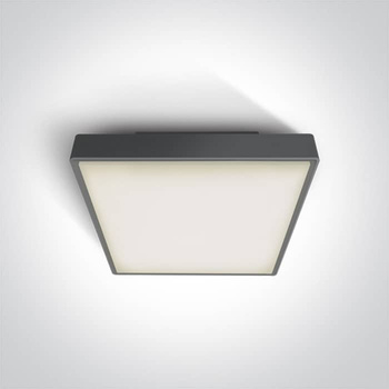 Plafon The LED Plafo Outdoor Square Plastic 67282AN/AN/W ONE LIGHT